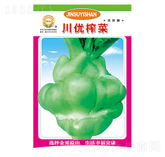 榨菜種子-川優(yōu)榨菜-太樂種業(yè)