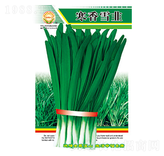 韭菜種子-寒香雪韭-太樂(lè)種業(yè)
