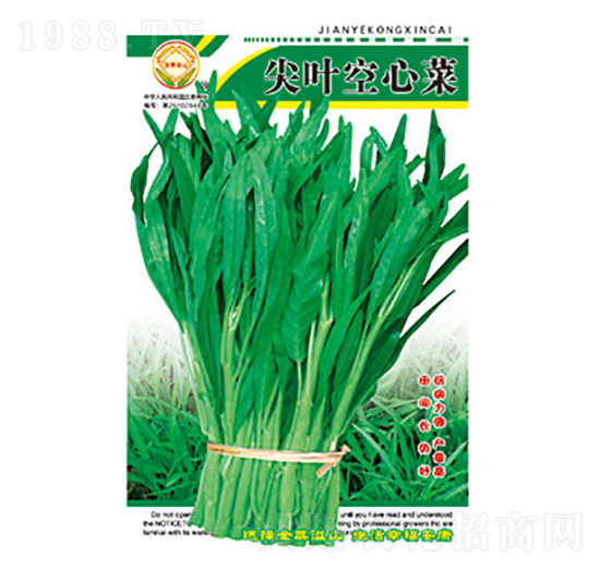 空心菜種子-尖葉空心菜-太樂種業(yè)