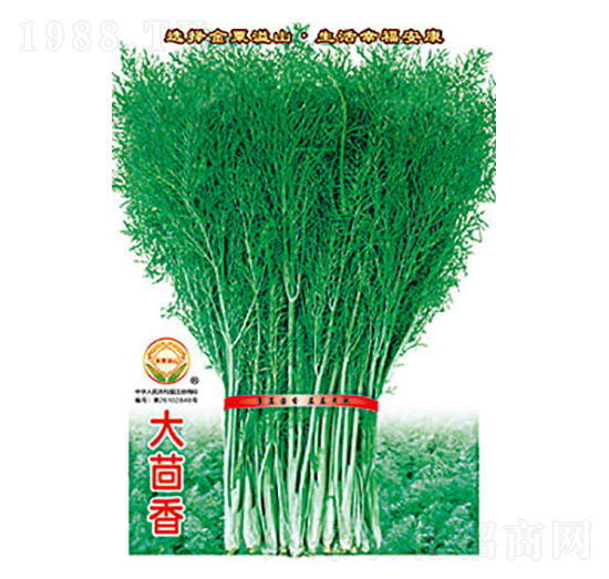 大茴香-太樂種業(yè)