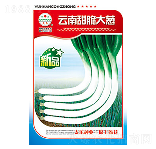 大蔥種子-云南甜脆大蔥-太樂種業(yè)