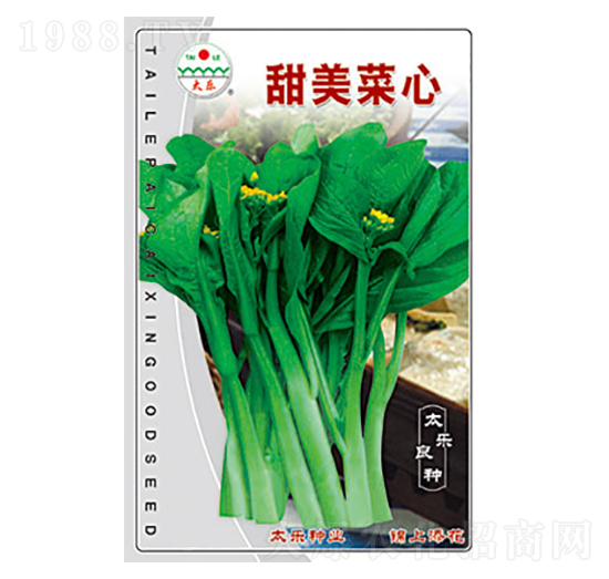 甜美菜心-太樂種業(yè)