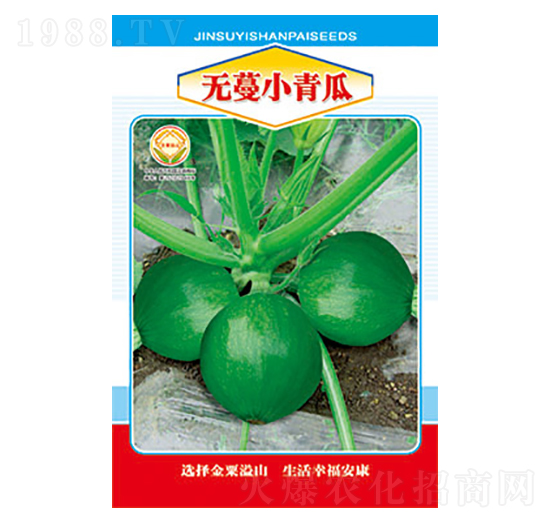 無(wú)蔓小青瓜-太樂(lè)種業(yè)