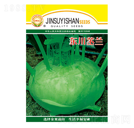 苤蘭種子-東川苤蘭-太樂(lè)種業(yè)
