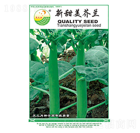 芥蘭種子-新甜美芥蘭-太樂(lè)種業(yè)