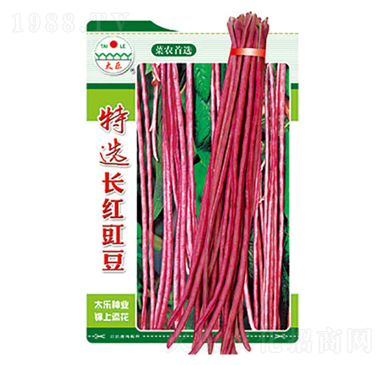 豇豆種子-特選長紅豇豆-太樂種業(yè)