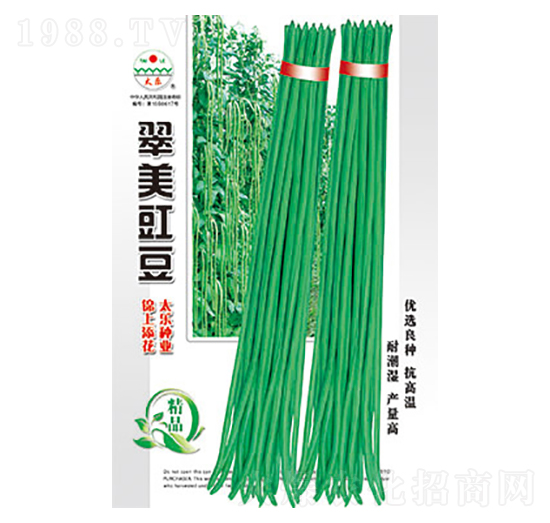 豇豆種子-翠美豇豆-太樂(lè)種業(yè)