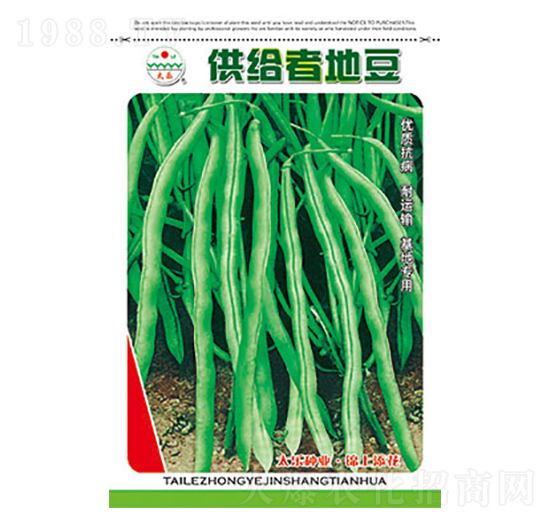 豇豆種子-供給者地豆-太樂種業(yè)