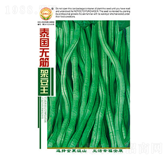 豇豆種子-泰國(guó)無筋架豆王-太樂種業(yè)