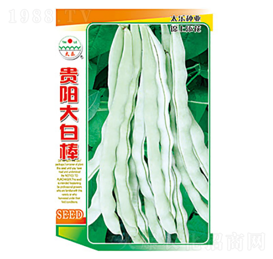 豇豆種子-貴陽(yáng)大白棒-太樂種業(yè)