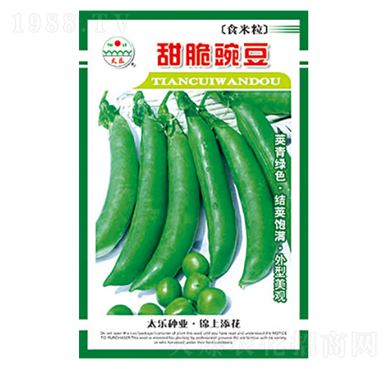 豌豆種子-甜脆豌豆-太樂種業(yè)