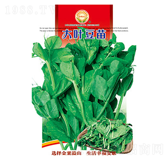 大葉豆苗-太樂種業(yè)