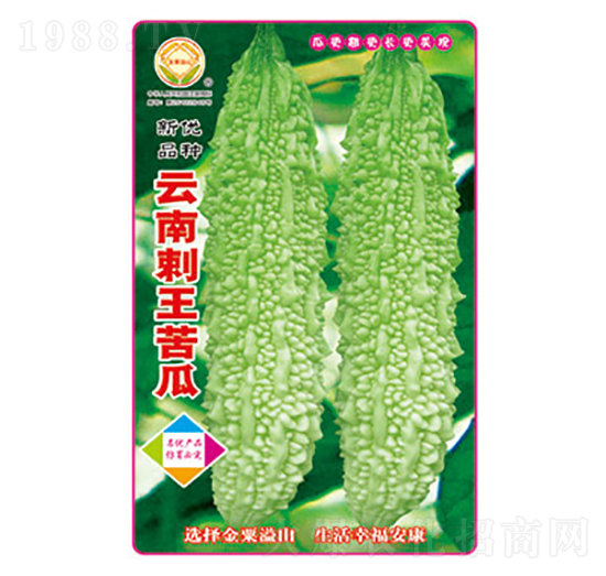 苦瓜種子-云南刺王苦瓜-太樂種業(yè)