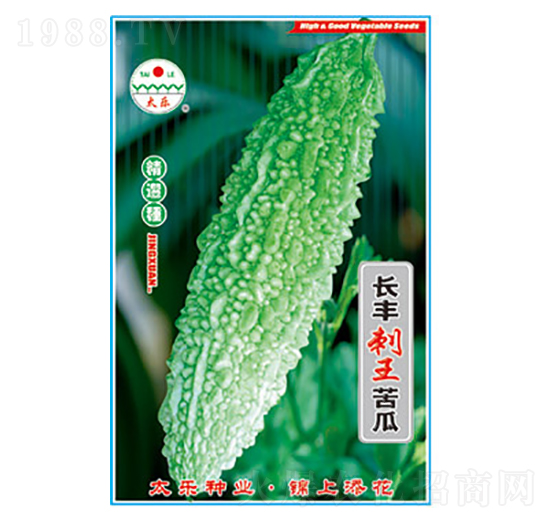 苦瓜種子-長(zhǎng)豐刺王苦瓜-太樂(lè)種業(yè)