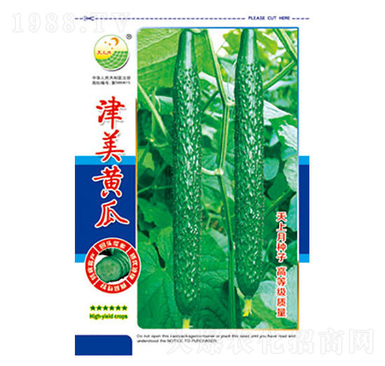 黃瓜種子-津美黃瓜-太樂種業(yè)