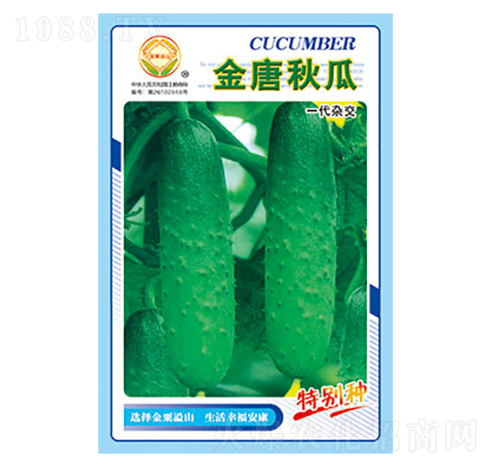 黃瓜種子-金唐秋瓜-太樂(lè)種業(yè)