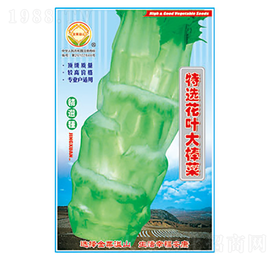 棒菜種子-特選花葉大棒菜-太樂(lè)種業(yè)