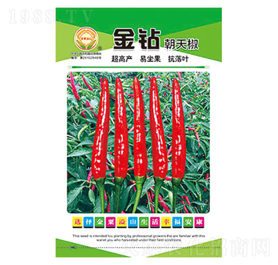 辣椒種子-金鉆朝天椒-太樂種業(yè)