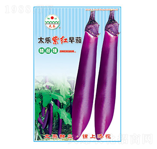 茄子種子-太樂紫紅早茄-太樂種業(yè)