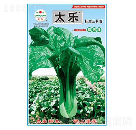 青菜種子-標(biāo)準(zhǔn)三月青-太樂種業(yè)