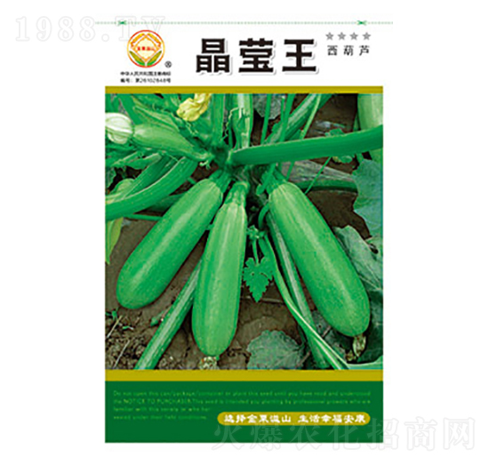 西葫蘆種子-晶瑩王-太樂(lè)種業(yè)