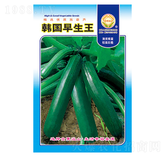 西葫蘆種子-韓國(guó)早生王-太樂(lè)種業(yè)
