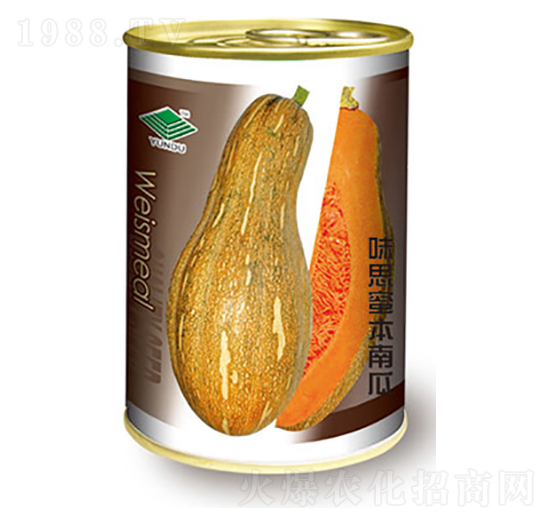 南瓜種子-味思蜜本南瓜-太樂種業(yè)