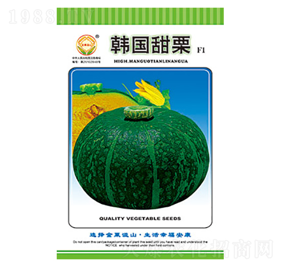 南瓜種子-韓國(guó)甜栗-太樂(lè)種業(yè)