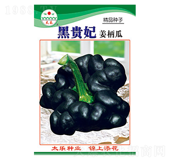 姜柄瓜種子-黑貴妃-太樂(lè)種業(yè)