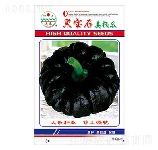姜柄瓜種子-黑寶石-太樂(lè)種業(yè)