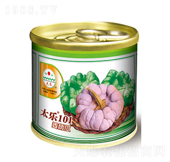 姜柄瓜種子-太樂101-太樂種業(yè)