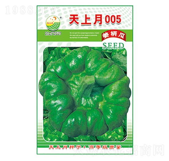 姜柄瓜種子-天上月005-太樂種業(yè)