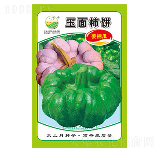 姜柄瓜種子-玉面柿餅-太樂種業(yè)