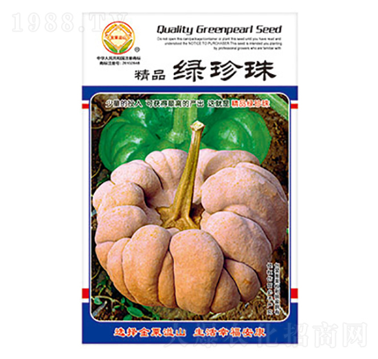 姜柄瓜種子-精品綠珍珠-太樂種業(yè)