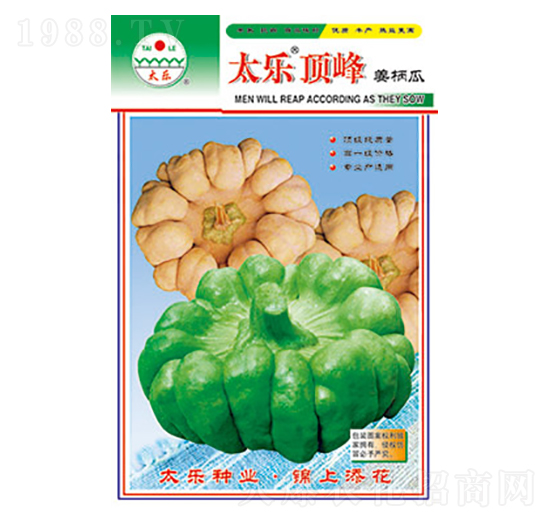 姜柄瓜種子-太樂頂峰-太樂種業(yè)