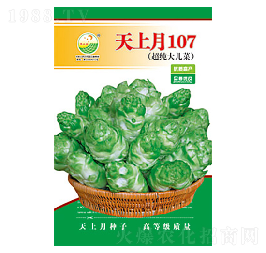 兒菜種子-天上月107-太樂種業(yè)