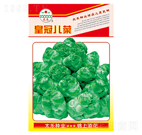 兒菜種子-皇冠兒菜-太樂種業(yè)