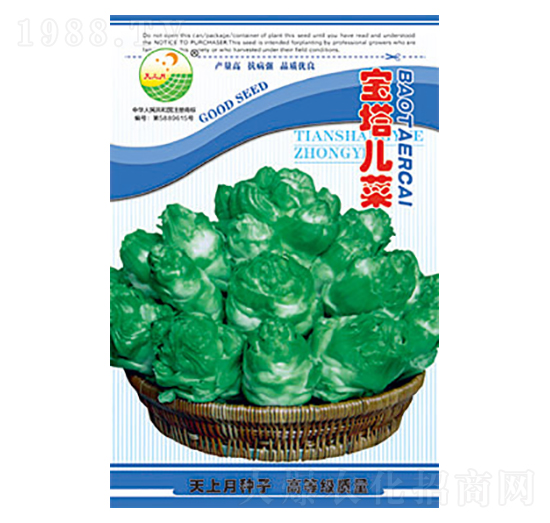 兒菜種子-寶塔兒菜-太樂種業(yè)