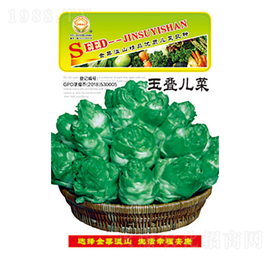 兒菜種子-玉疊兒菜-太樂(lè)種業(yè)