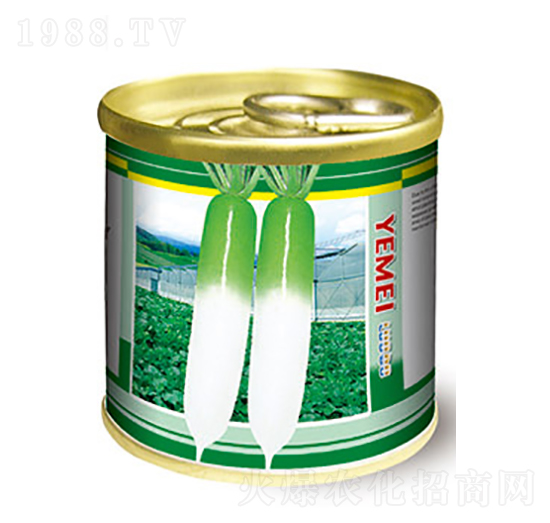 蘿卜種子-罐頭蘿卜-太樂種業(yè)