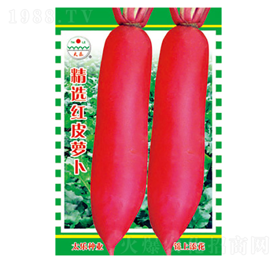 蘿卜種子-精選紅皮蘿卜-太樂(lè)種業(yè)