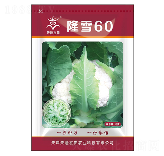 隆雪60-天隆在田-天隆農(nóng)業(yè)