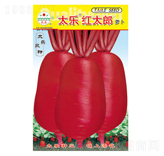 蘿卜種子-太樂紅太郎-太樂種業(yè)