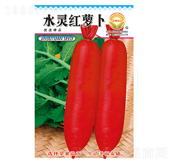 蘿卜種子-水靈紅蘿卜-太樂種業(yè)