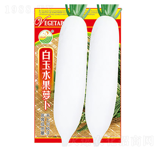蘿卜種子-白玉水果蘿卜-太樂種業(yè)