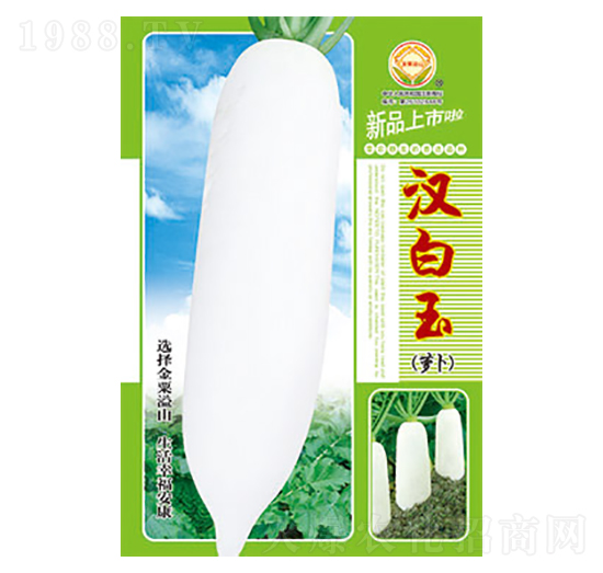蘿卜種子-漢白玉-太樂種業(yè)