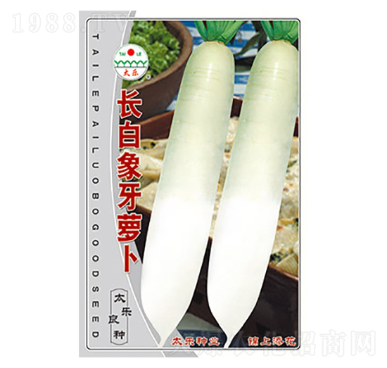 蘿卜種子-長(zhǎng)白象牙蘿卜-太樂(lè)種業(yè)
