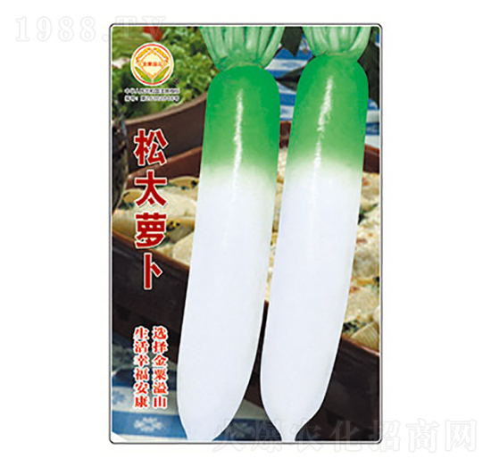 蘿卜種子-松太蘿卜-太樂種業(yè)