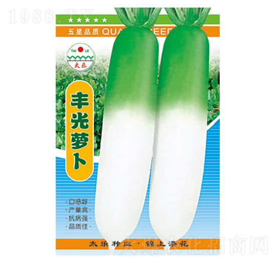 蘿卜種子-豐光蘿卜-太樂種業(yè)