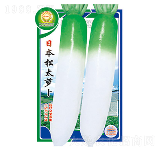 蘿卜種子-日本松太蘿卜-太樂(lè)種業(yè)